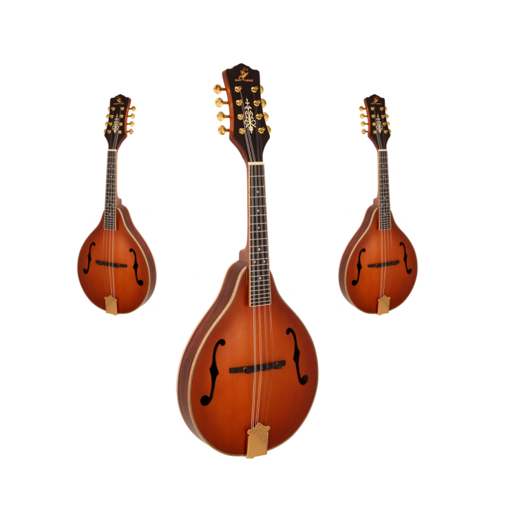 Hot Sale Classical 8 Strings M - Musical Instrument Mandolin review and price