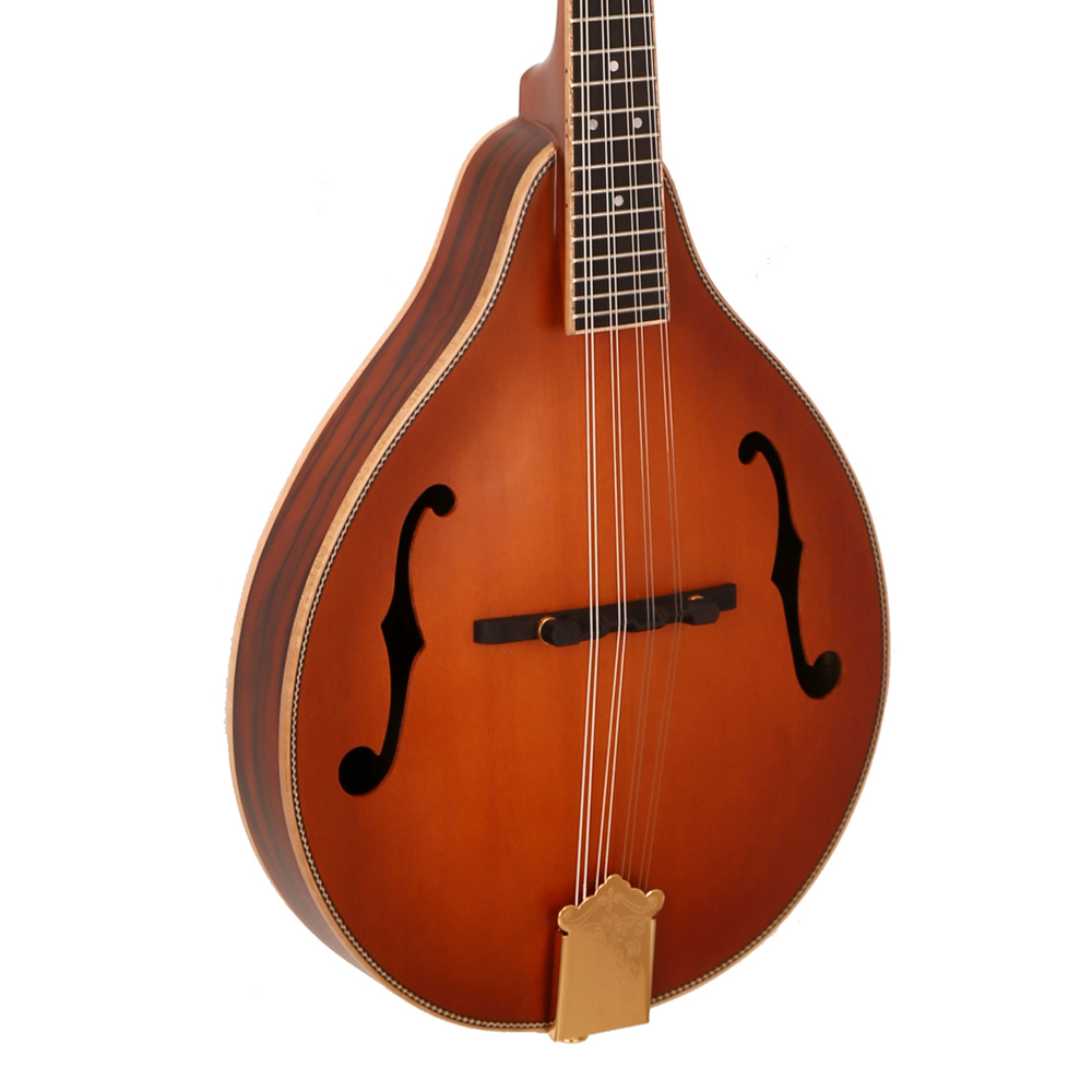 Hot Sale Classical 8 Strings M - Musical Instrument Mandolin review and price