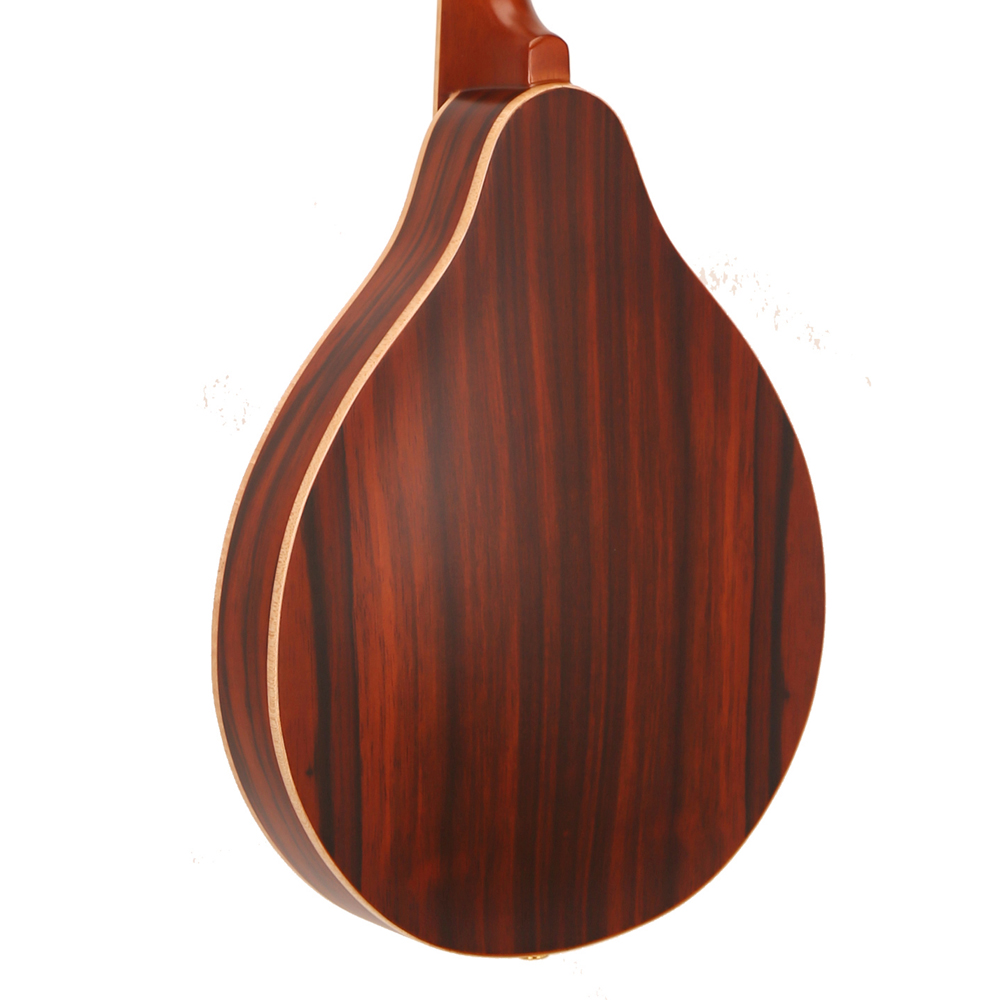 Hot Sale Classical 8 Strings M - Musical Instrument Mandolin review and price