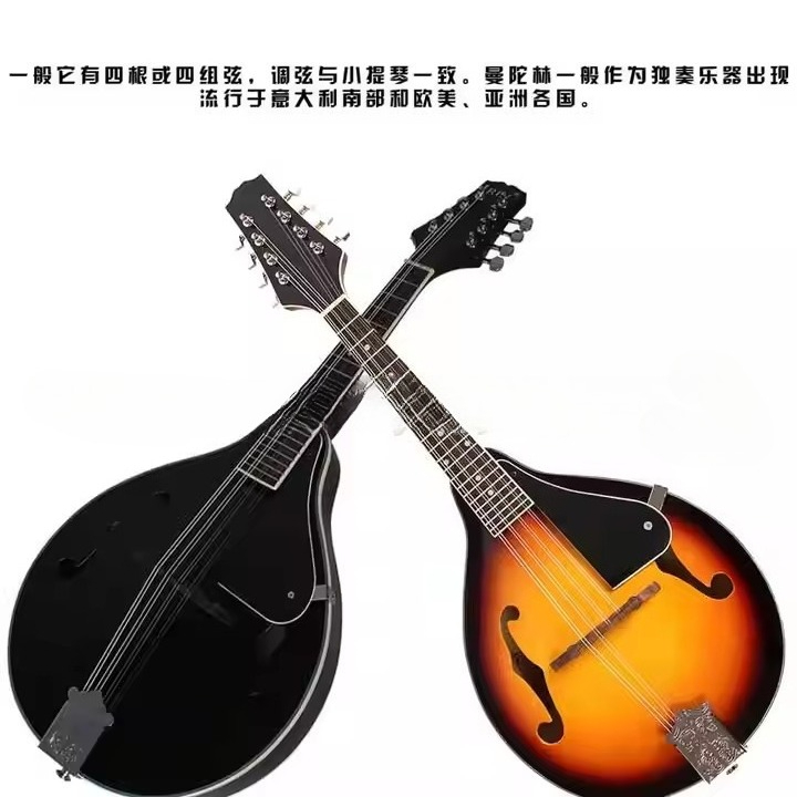 Tibetan Ethnic Musical Instrum - Musical Instrument Mandolin review and price