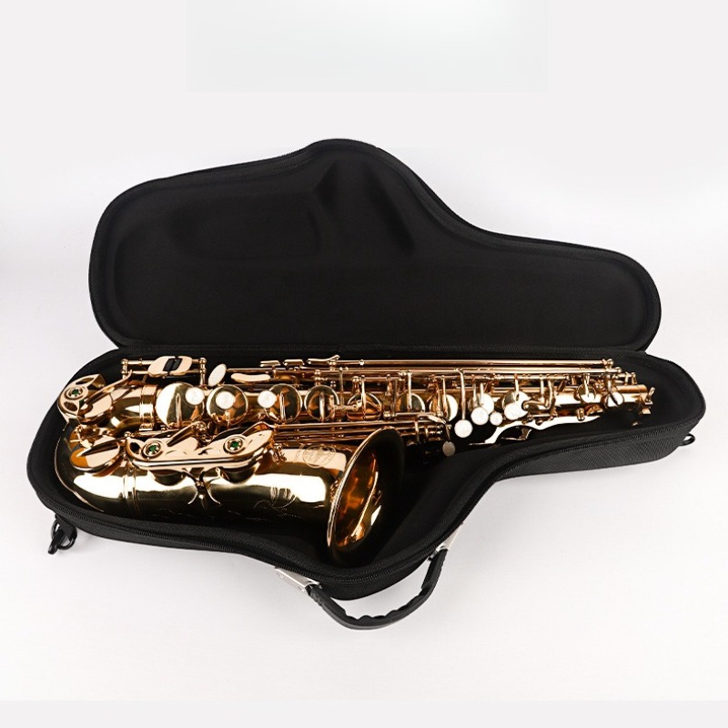 Oxford Cloth Alto Saxophone Ba - Musical Instrument Bag review and price