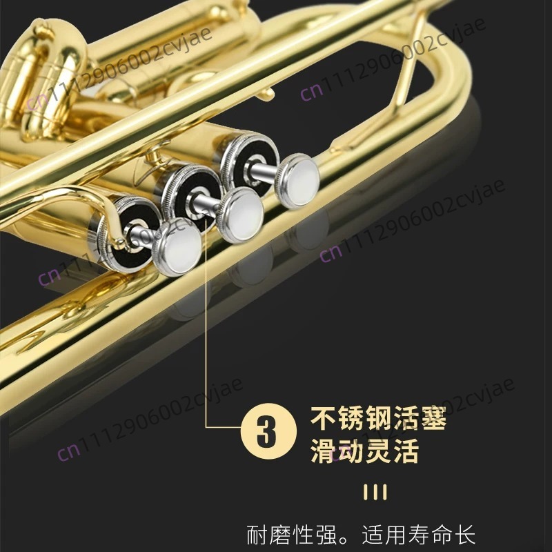 Suitable for Jinbao trumpet mu - Musical Instrument Band review and price