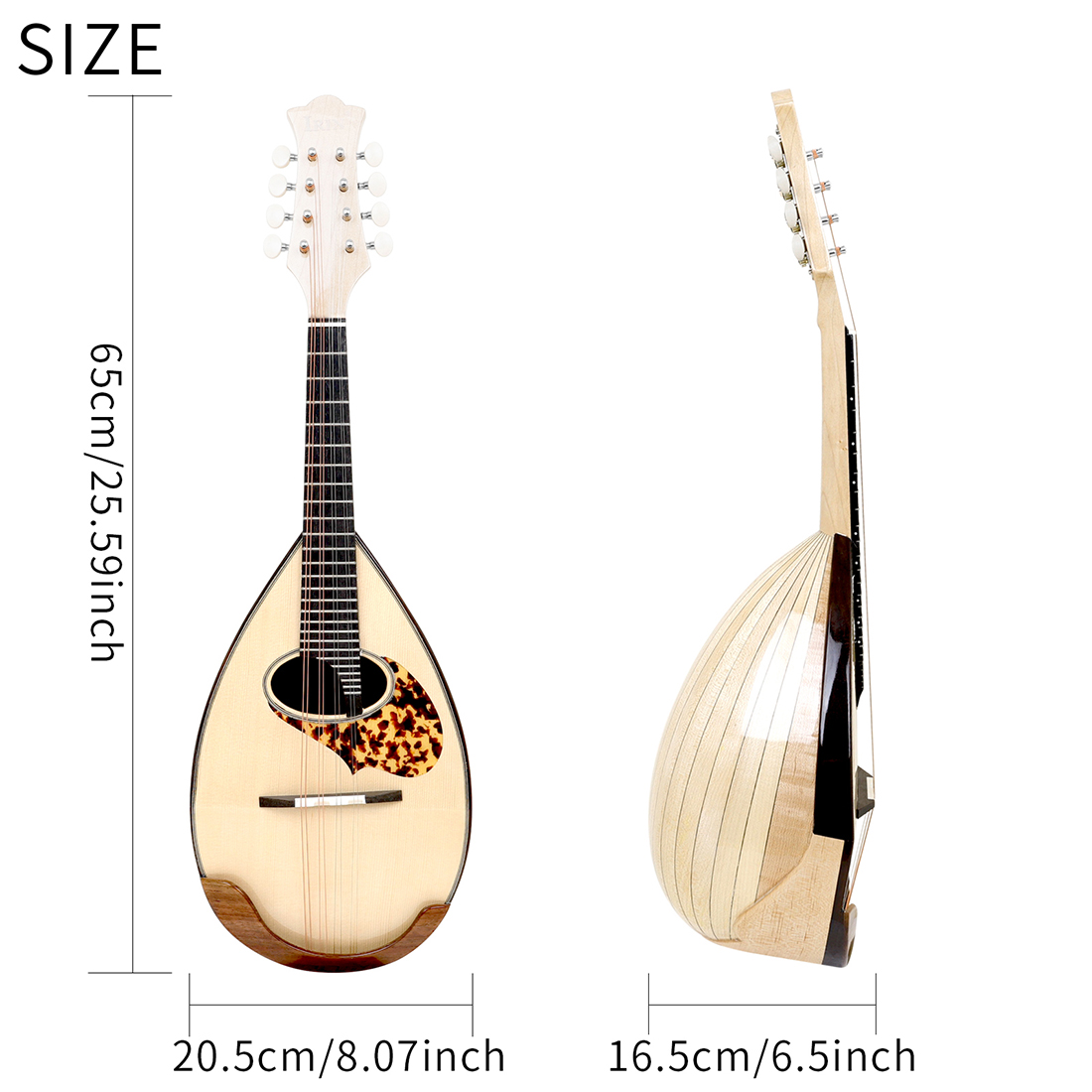 IRIN MD-60 Mandolin Japanese M - Musical Instrument Mandolin review and price