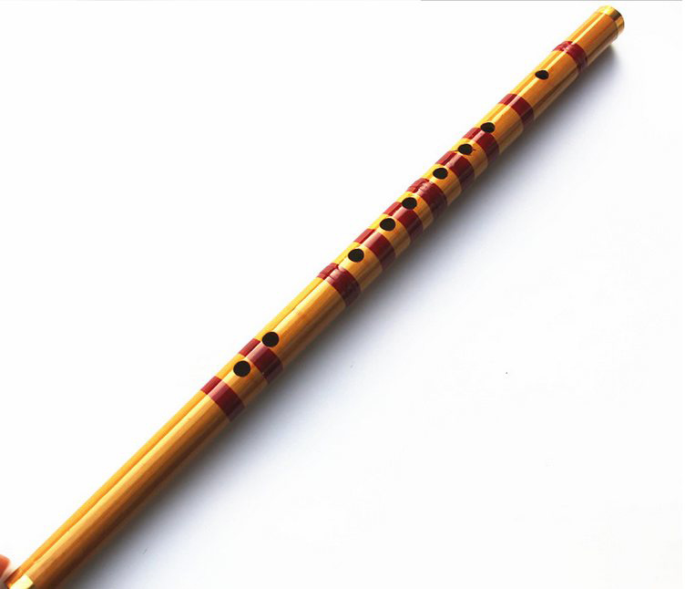 Children Learning Well Designe - Musical Instrument Piccolo review and price