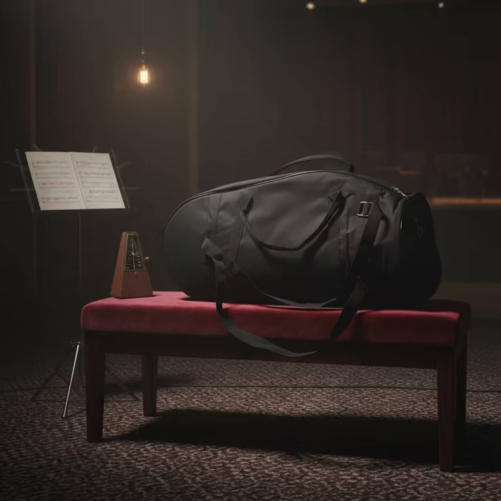 Euphonium Gig Bag Padded Eupho - Musical Instrument Bag review and price