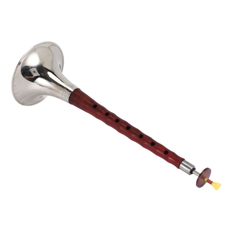 A12E-Chinese Folk Wind Musical - Musical Instrument Zurna review and price